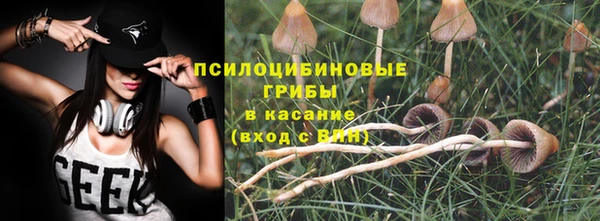 герыч Гусь-Хрустальный