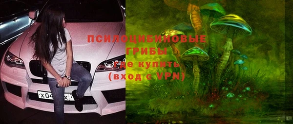 герыч Гусь-Хрустальный