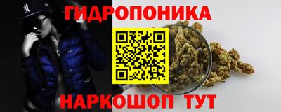 молекула духа Кандалакша
