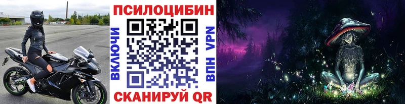 где можно купить   Краснодар  Галлюциногенные грибы Magic Shrooms 