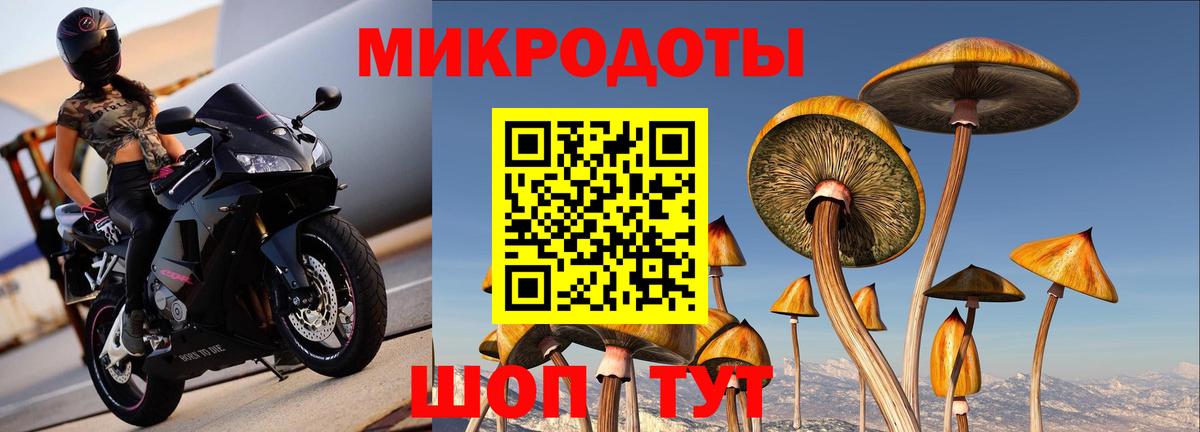 Псилоцибиновые грибы Magic Shrooms Краснодар