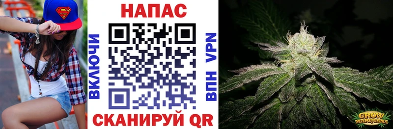 цены наркотик  Краснодар  Конопля индика 
